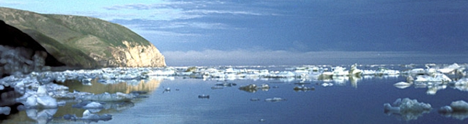 Petroleum Geology and Prospectivity of the Russian Chukchi Sea