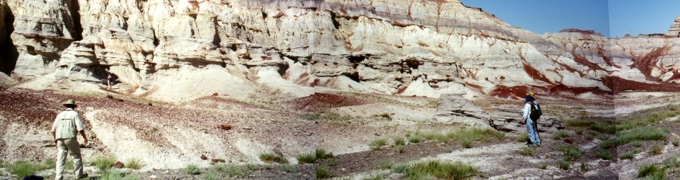 Karatau Outcrop Study, Western Kazakhstan